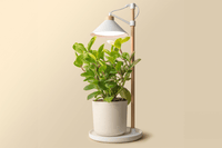 Tabletop Grow Light / Tabletop Grow Light