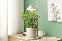 Tabletop Grow Light / Tabletop Grow Light