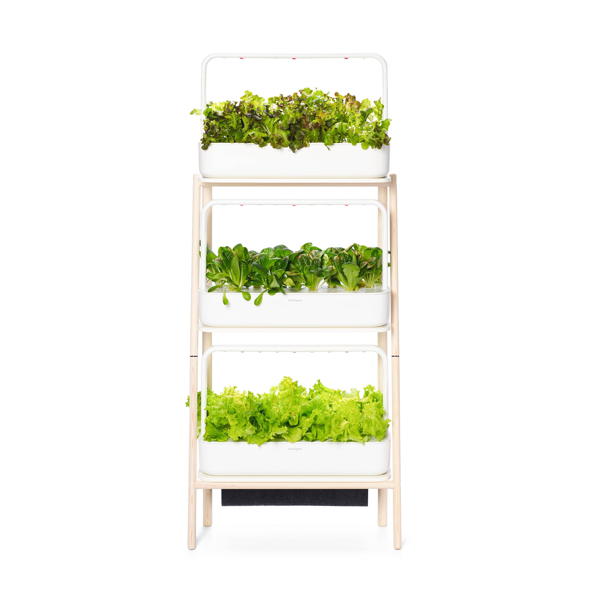 The Smart Garden 27 Home Garden | Click & Grow
