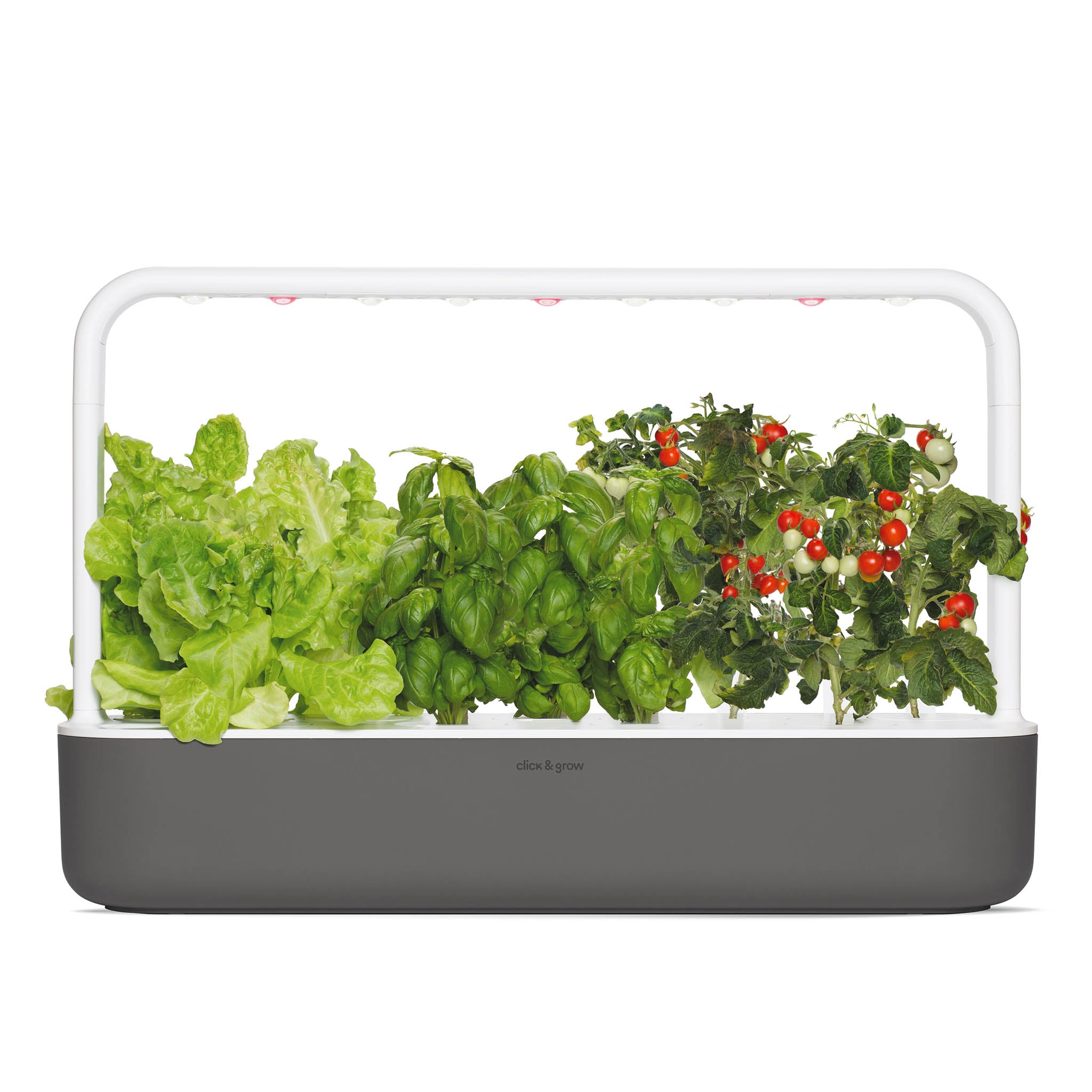 The Smart Garden 9 indoor gardening system | Click & Grow