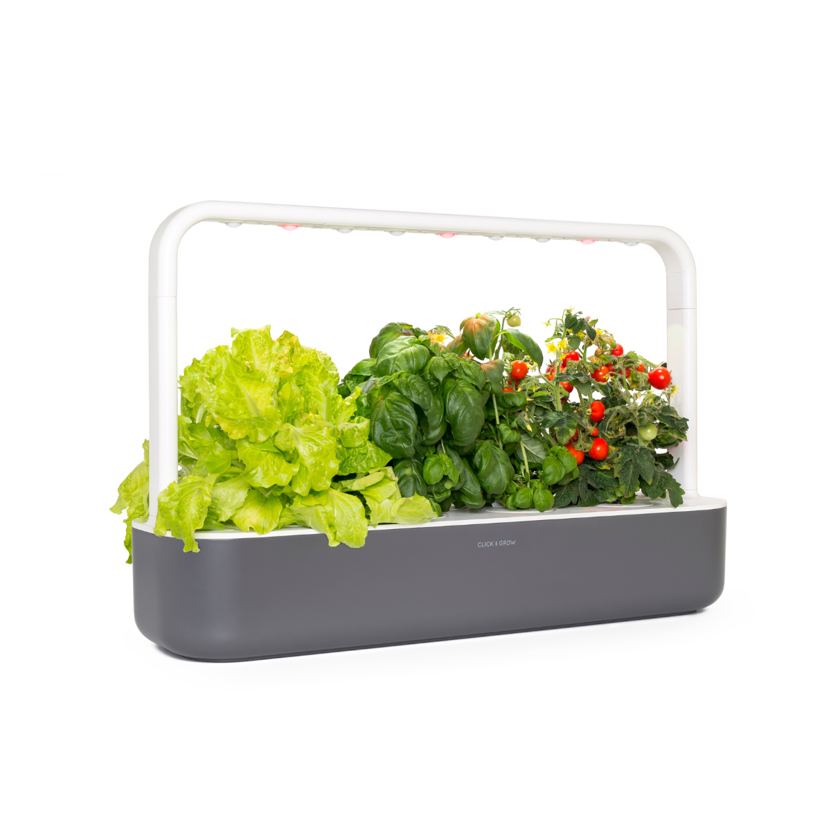 	A close up of The Smart Garden 9 by Click and Grow in a white container.