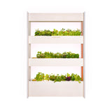 The Wall Farm Indoor Vertical Garden