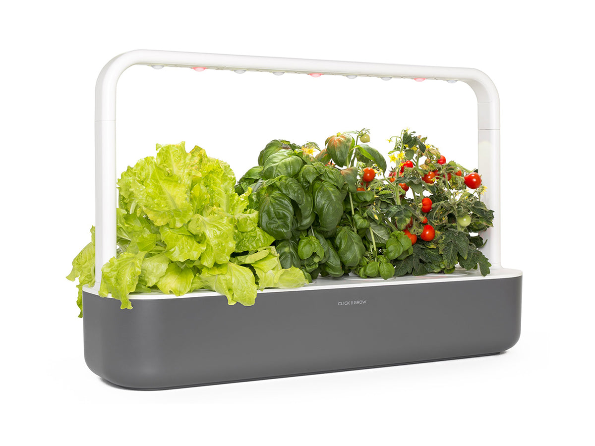 	A close up of The Smart Garden 9 by Click and Grow in a white container.