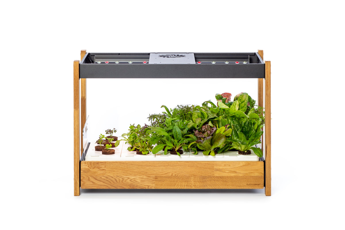 The Click & Grow 25