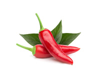 Chili Pepper Plant Pods / Chili Pepper Plant Pods