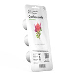 Cockscomb Plant Pods 3-pack