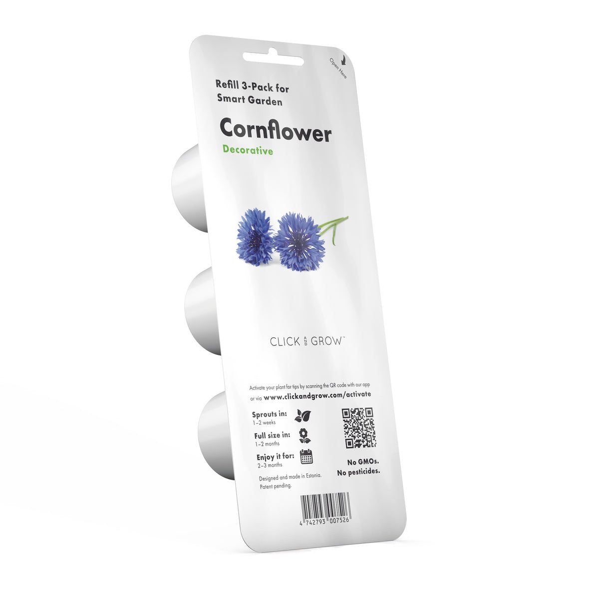 Cornflower Plant Pods / Cornflower Plant Pods