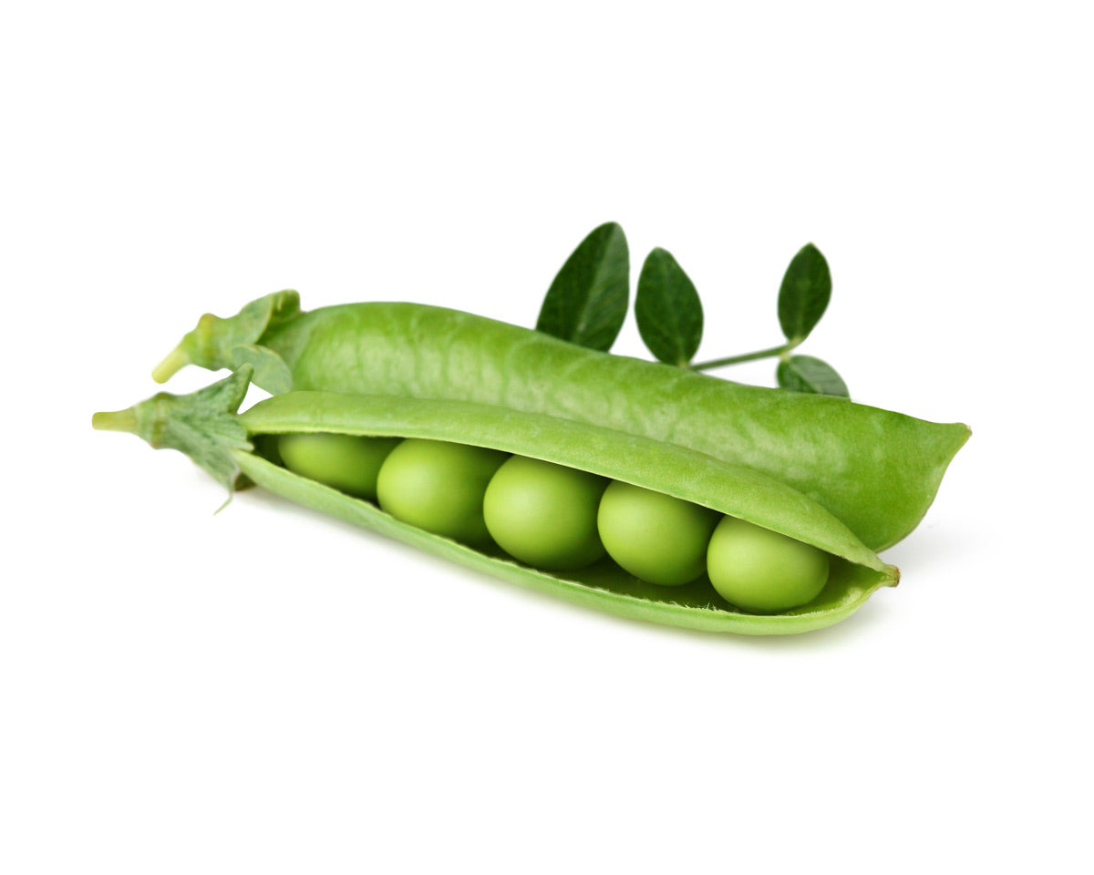 Dwarf Pea Pods | Click & Grow