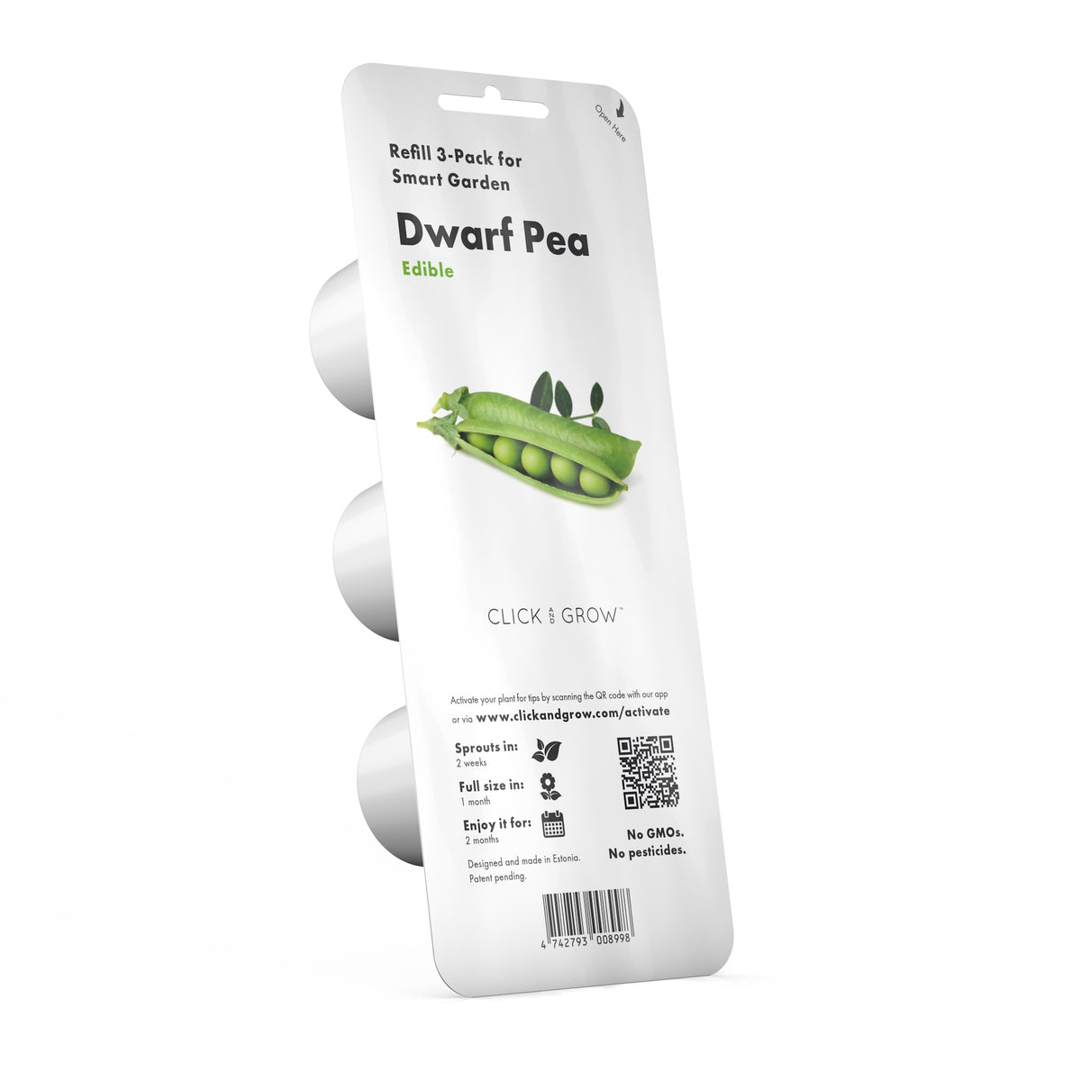 Dwarf Pea Plant Pods / Grow Dwarf Pea at home. Indoor Garden. Indoor Herb Garden.