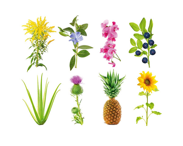 Grow Anything Plant Pods