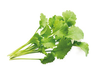 Garden Cress Plant Pods / Cress (Lepidium sativum) capsule - Click & Grow indoor garden