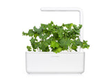 Green Kale Plant Pods 3-pack