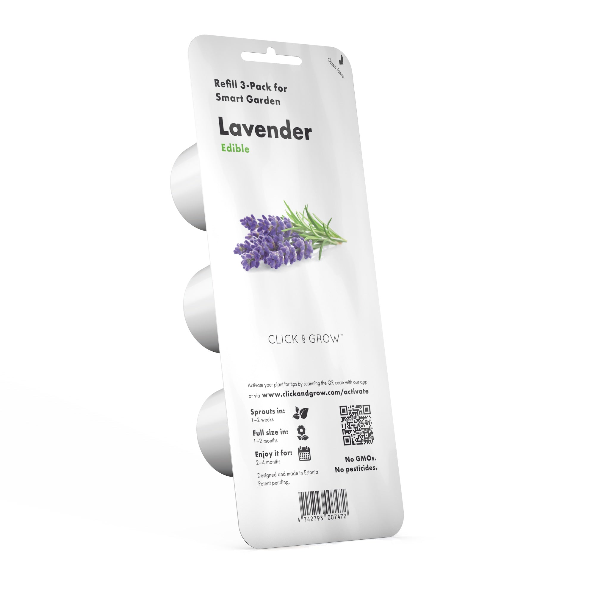 Lavender Plant Care - Ultimate Planting & Growing Guide