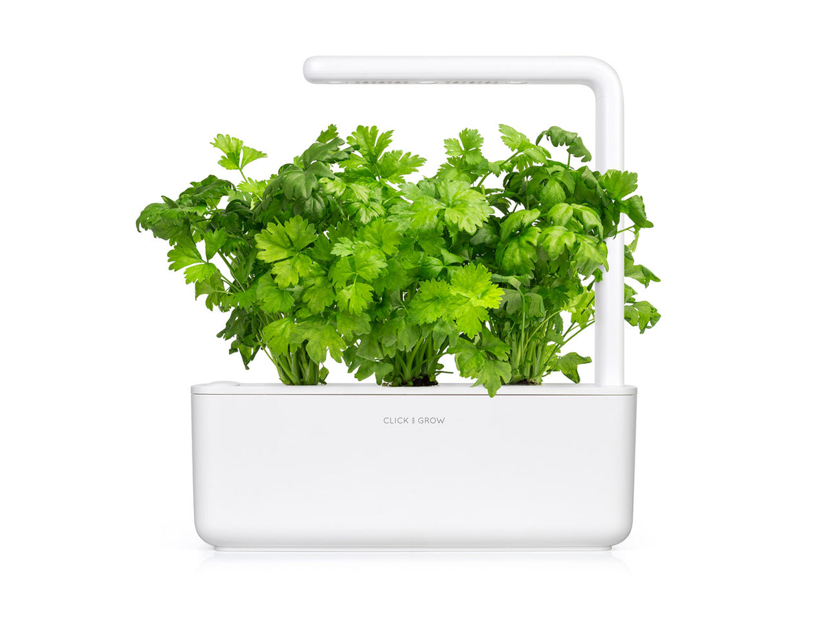 Leaf Celery Plant Pod Click & Grow