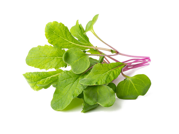 Leaf Radish Plant Pods