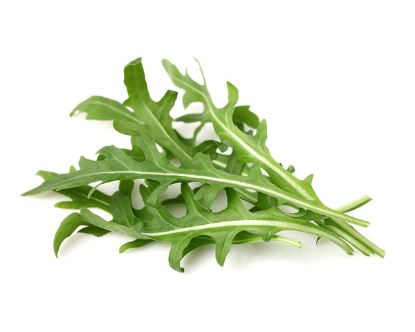 Leaf Mustard Plant Pods