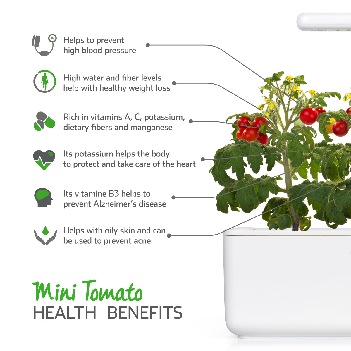 Mini Tomato Plant Pods  Click & Grow – Click & Grow Canada