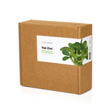 Pak Choi Plant Pods 3-pack