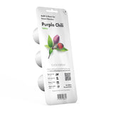 Purple Chili Pepper Plant Pods 3-pack