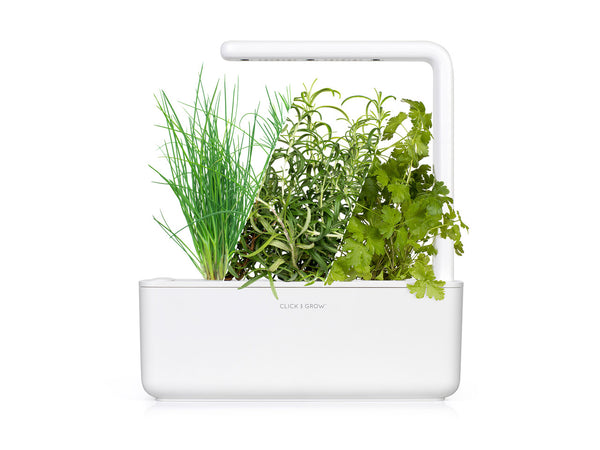 Herbs-go-with-everything Kit