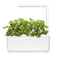 Cilantro (Coriander) Plant Pods / Cilantro - Grow superfood at home. Click & Grow indoor gardens. Cilantro health benefits.