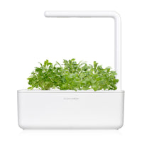 Garden Cress Plant Pods / Cress (Lepidium sativum) - grow cress at home - indoor herb garden kit - Click & Grow cress
