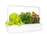 The Smart Garden 9 / A close up side view of The Smart Garden 9 by Click and Grow in a white container.