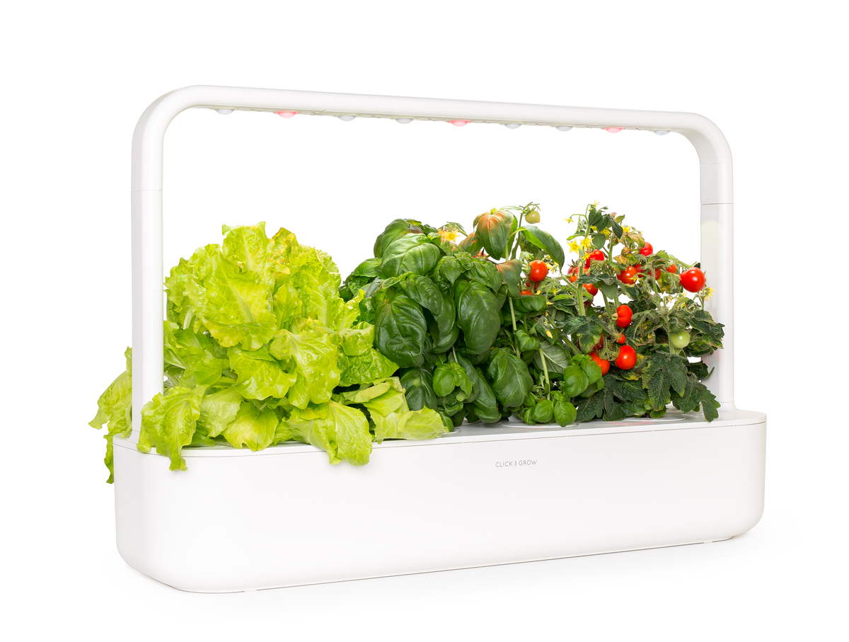 	A close up of The Smart Garden 9 by Click and Grow in a white container.
