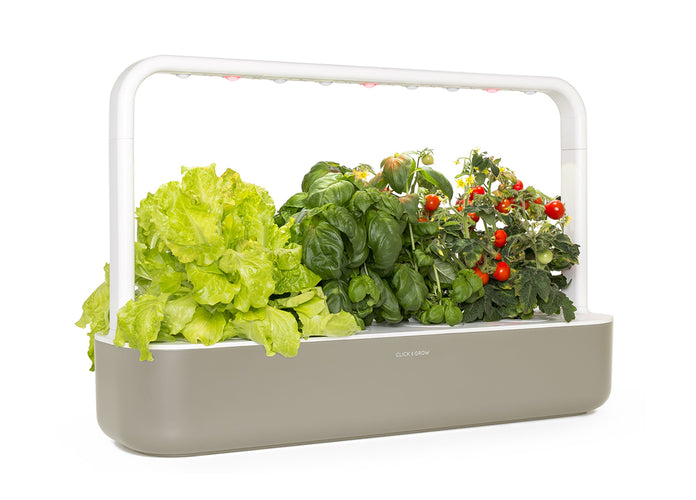 Best Gift Under $200 - Beige