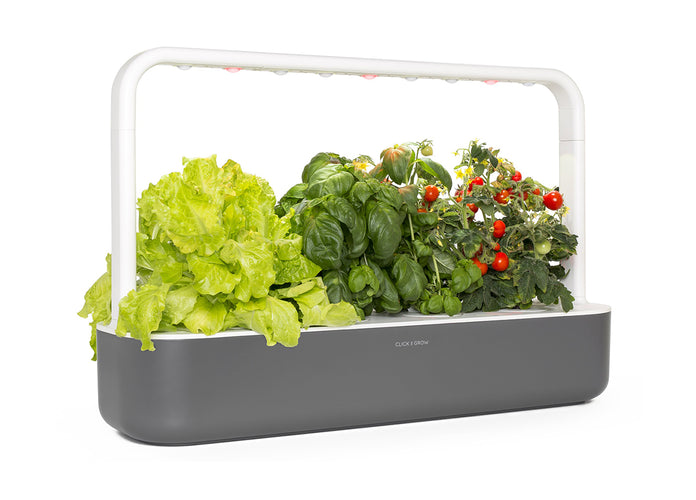 Best Gift Under $200 - Grey