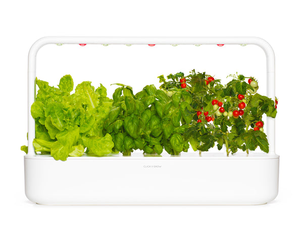 	A close up of The Smart Garden 9 by Click and Grow in a white container.