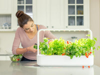 The Smart Garden 9 / Woman cutting basil from the smart garden
