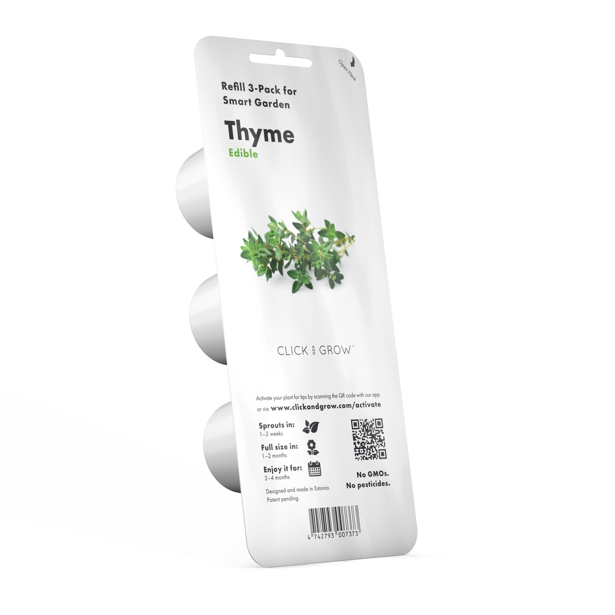 How to Plant and Grow Thyme