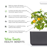 Health benefits of yellow tomatoes (Lycopersicon esculentum). Click & Grow.