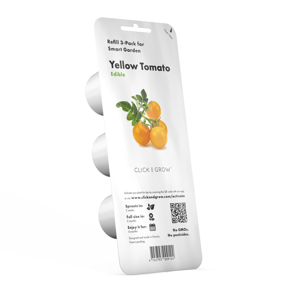 Yellow Mini Tomato Plant Pods / Mini Tomato (Lycopersicon esculentum) - Grow yellow mini tomatoes at home in an Indoor Herb Garden.