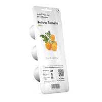 Yellow Mini Tomato Plant Pods / Mini Tomato (Lycopersicon esculentum) - Grow yellow mini tomatoes at home in an Indoor Herb Garden.
