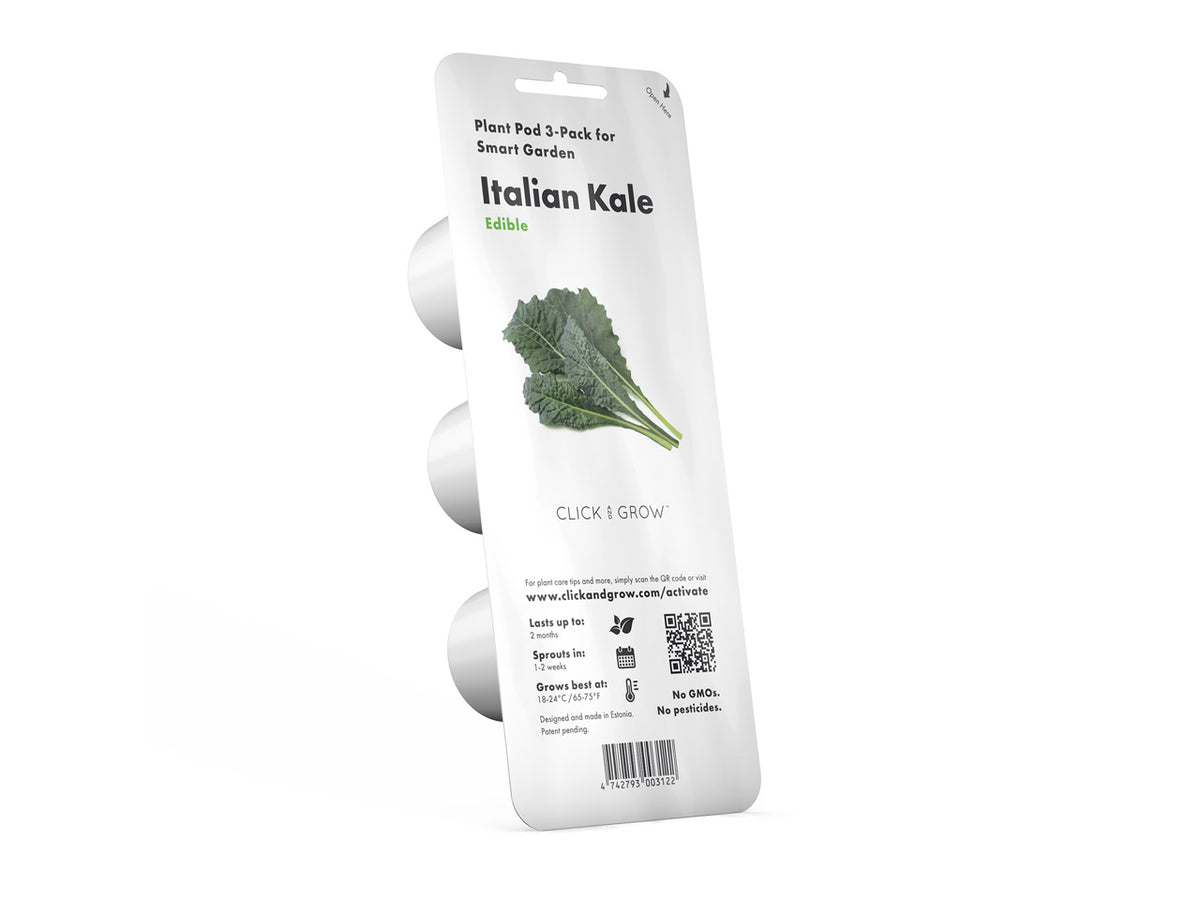 Italian Kale Plant Pods / Italian Kale Plant Pods