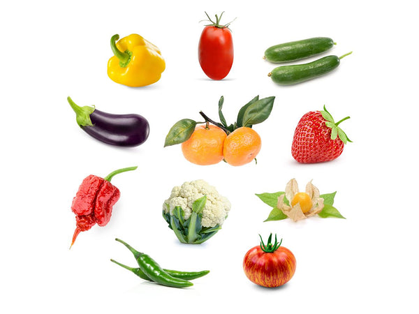 Grow Anything Plant Pods (optimised for fruiting plants)