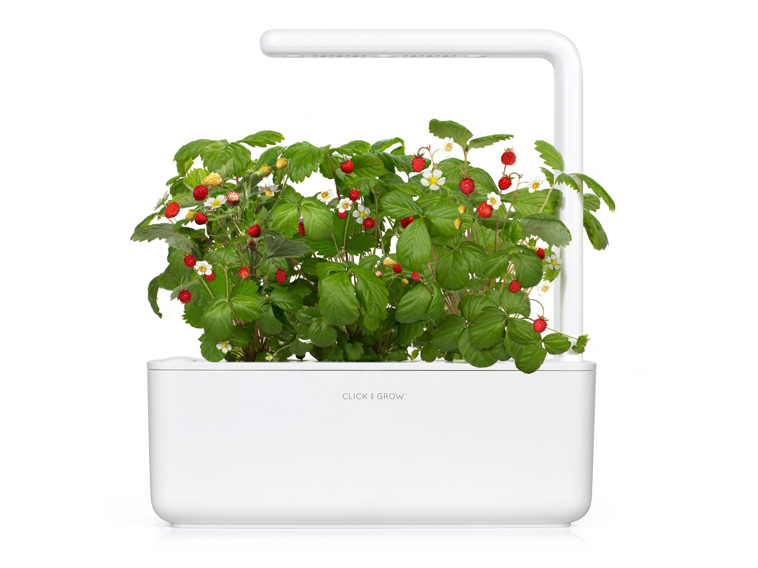 Smart Growing The Ultimate Smart Indoor Garden | Click & Grow