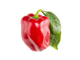Red Sweet Pepper Plant Pods 3-pack