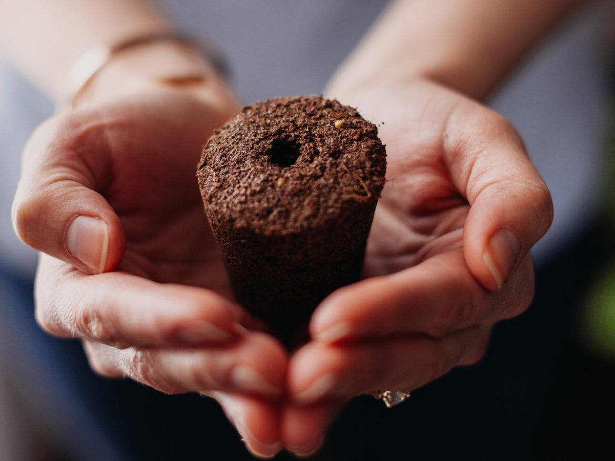 The Smart Garden 9 / Woman holding a smart soil plant pod