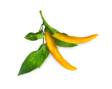 Yellow Chili Pepper Plant Pods 3-pack