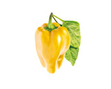 Yellow Sweet Pepper Refill (Capsicum annuum) - Click & Grow indoor garden