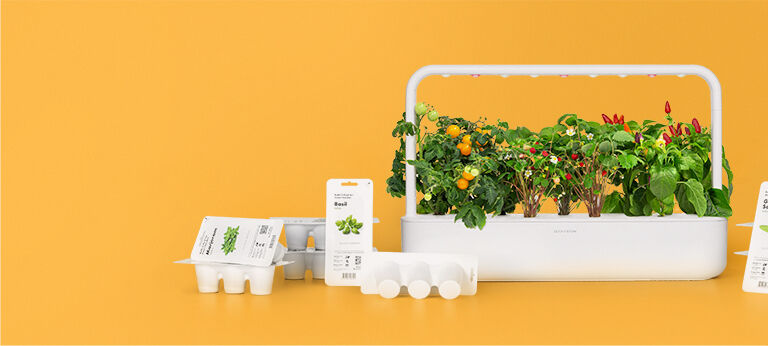 Click and Grow - Fall campaign