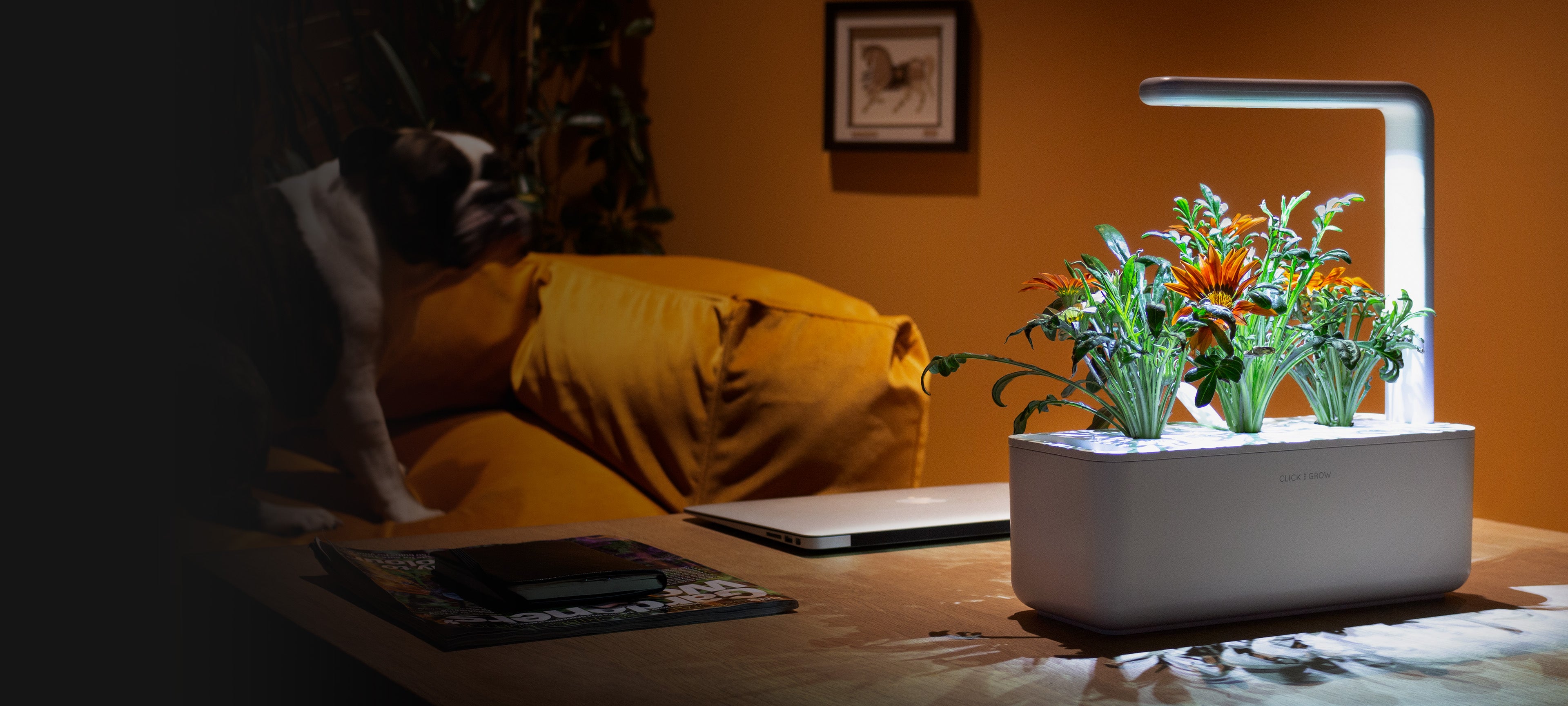 Invest in your health with an indoor garden.