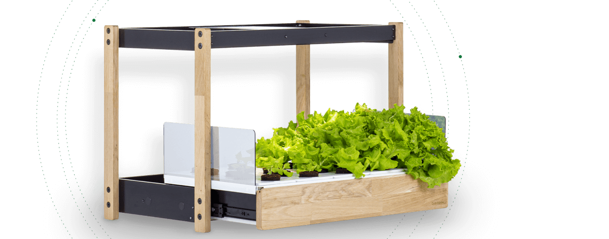 Growing food indoors