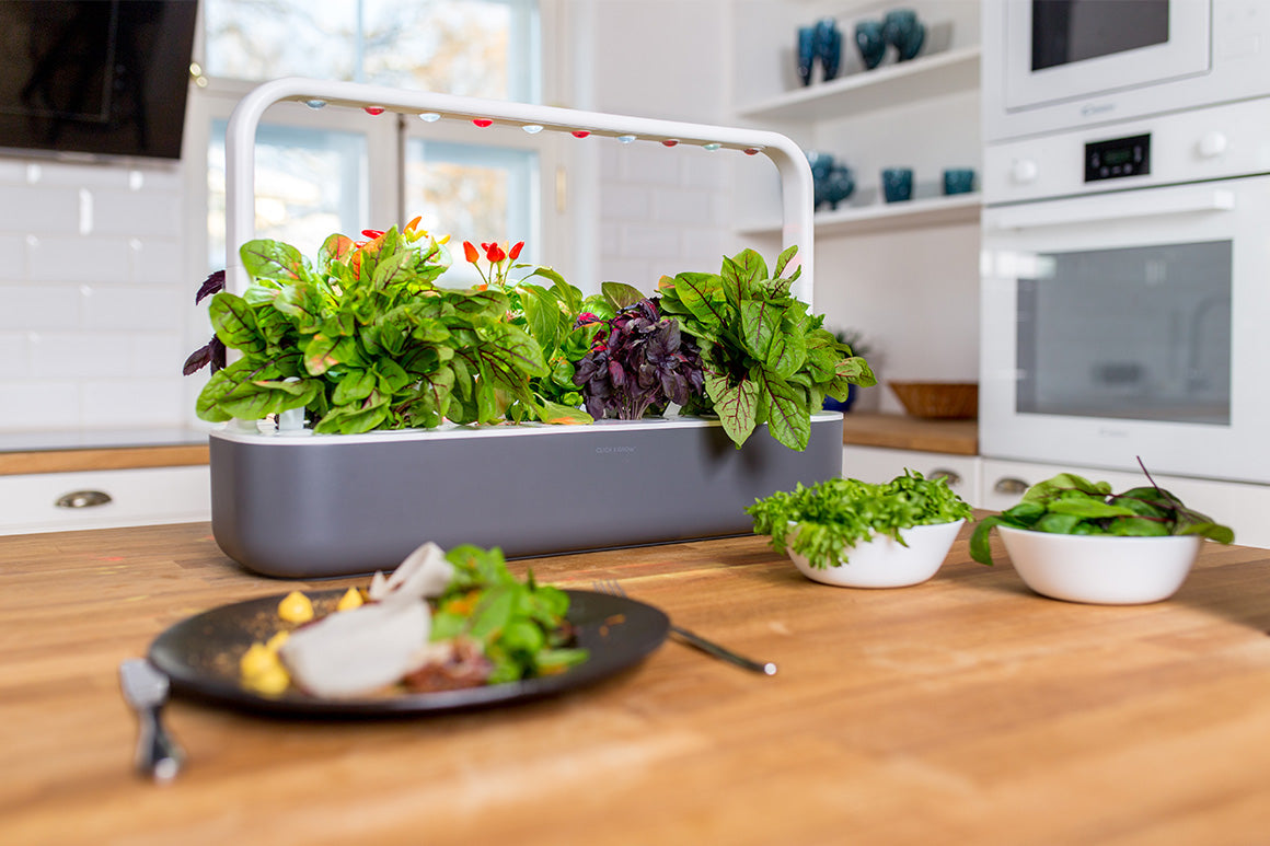 The Smart Garden grows plants 30% faster and keeps them fresh, tasty, and aromatic for weeks