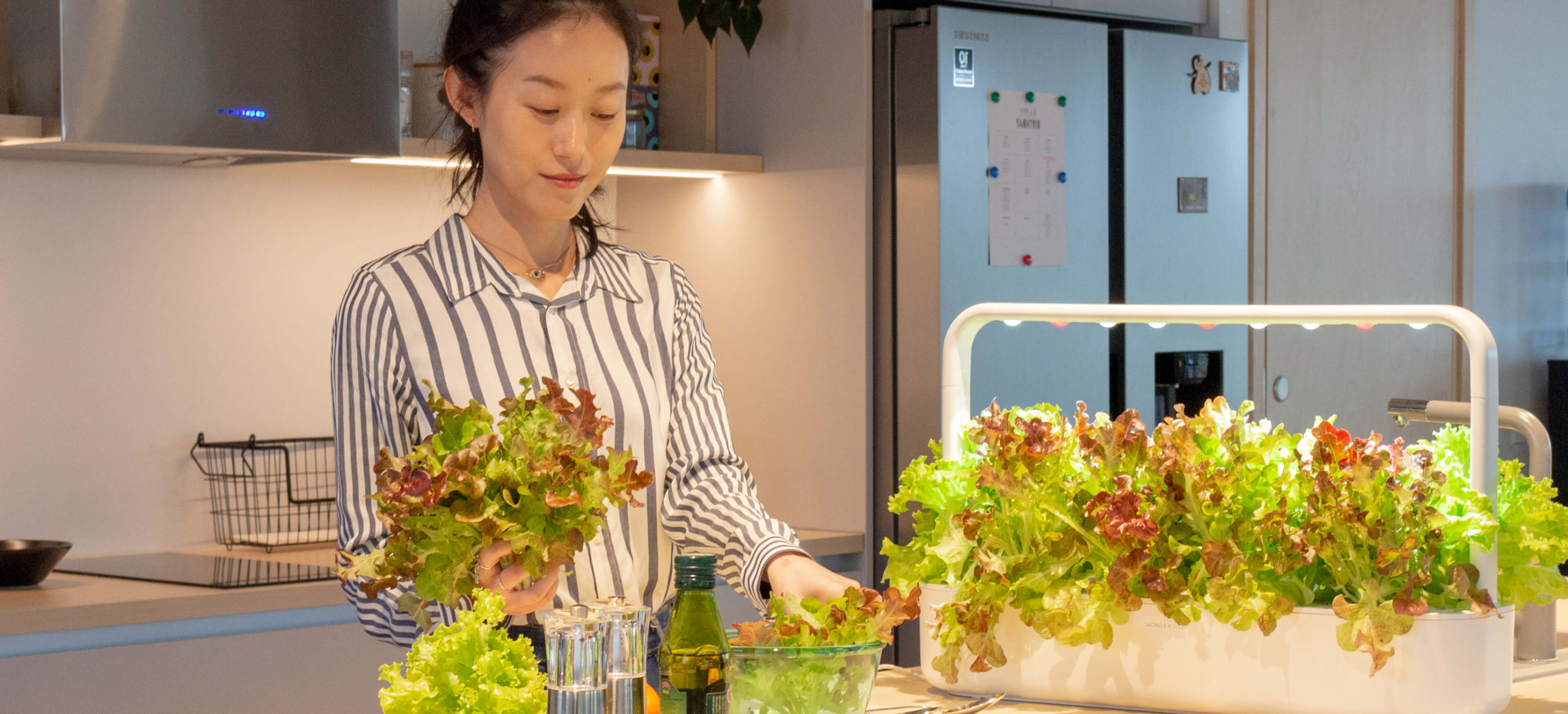 Invest in your health with an indoor garden.