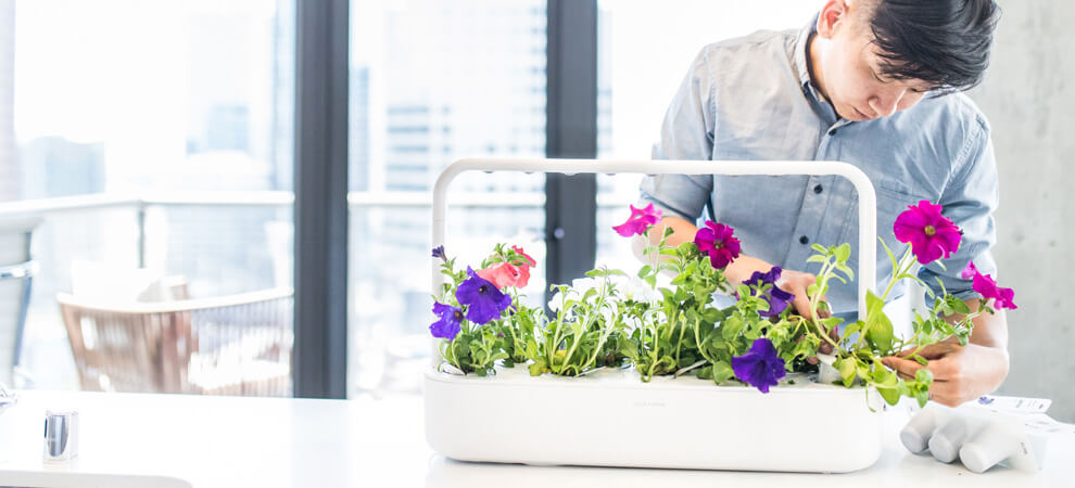 Invest in your health with an indoor garden.