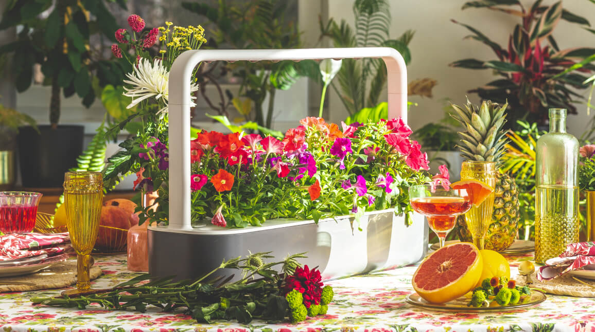 A compact self-sustaining indoor garden.